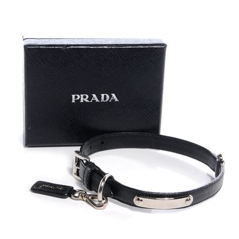 collare cane prada|Prada pet necklace.